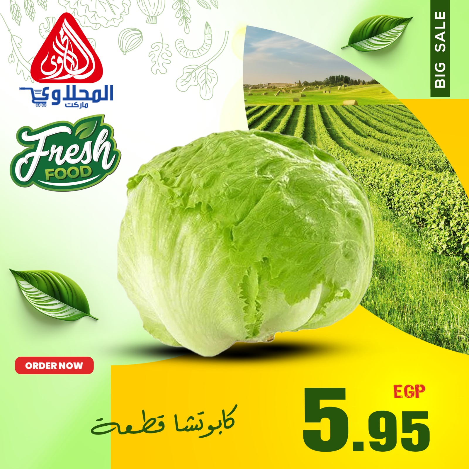 el-mahallawy offers from 9apr to 12apr 2025 عروض المحلاوي من 9 إبريل حتى 12 إبريل 2025 صفحة رقم 13